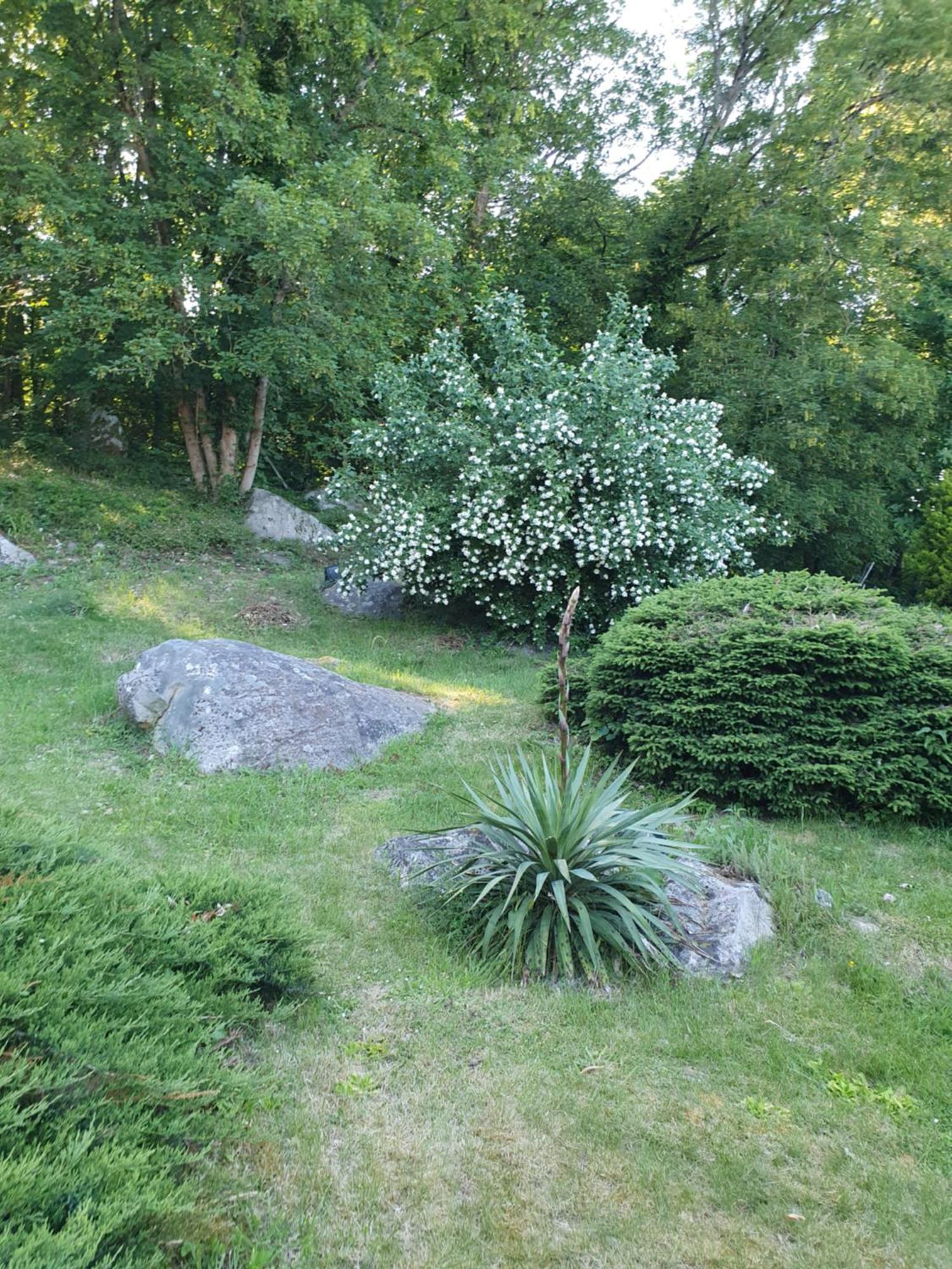 Le Jardin Des Roches Bed & Breakfast Moigny Eksteriør bilde